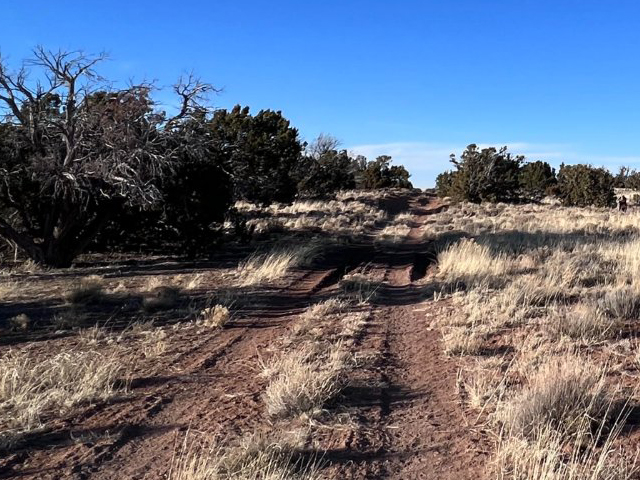 2.5 Acres of Arizona Freedom in Apache County